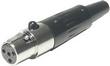 XLR MINI 4-pol hona