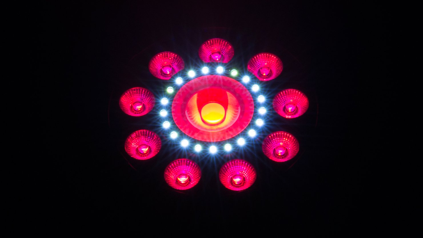 FXPAR-9