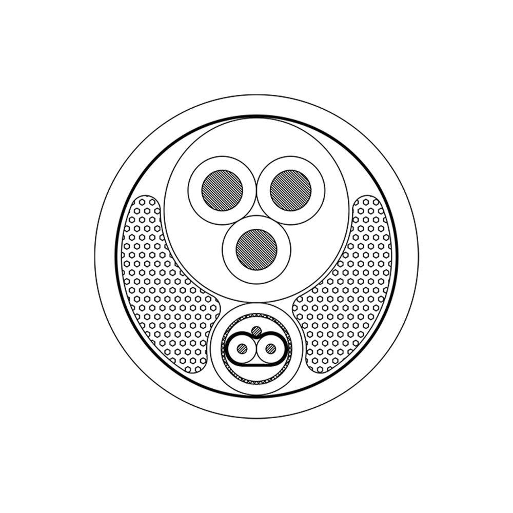 PAC251/1